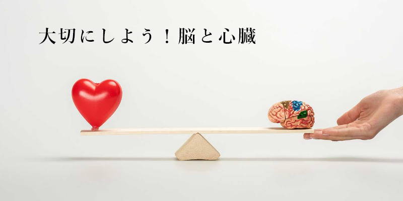 脳卒中・心臓病等総合支援センター